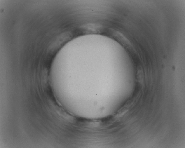 X0000077360318200611101645