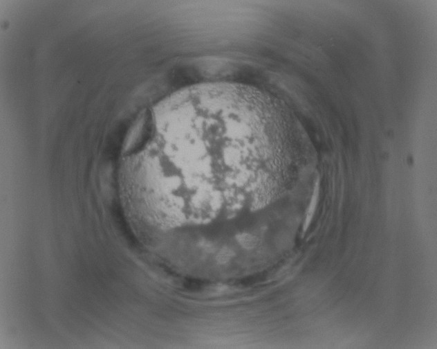 X0000077360319200611101645