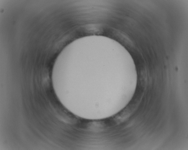 X0000077360320200611101645