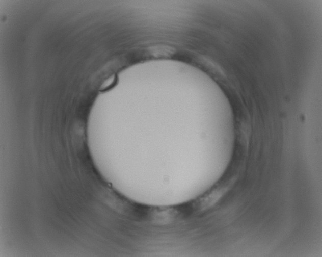 X0000077360321200611101645