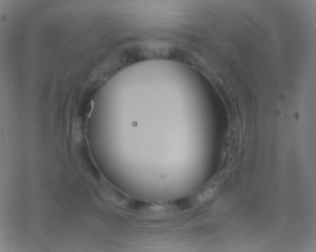 X0000077360323200611101645