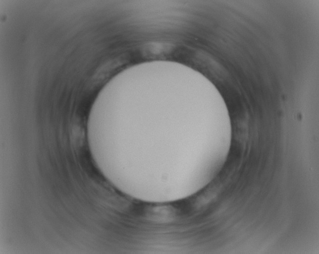 X0000077360324200611101645