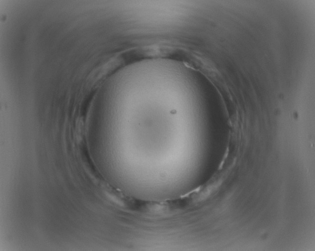 X0000077360325200611101645