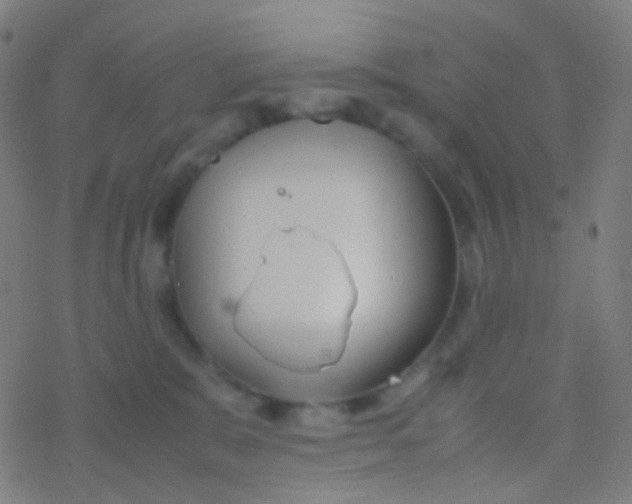 X0000077360327200611101645