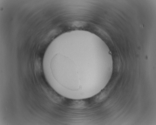 X0000077360328200611101645