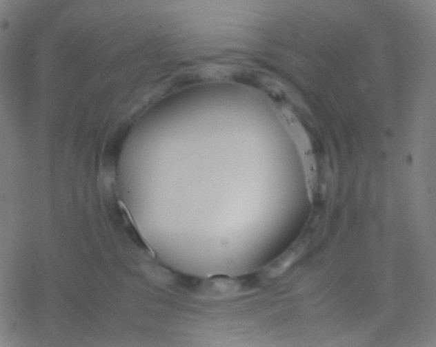 X0000077360329200611101645