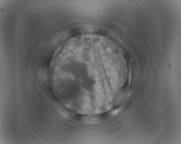 X0000077360331200611101645