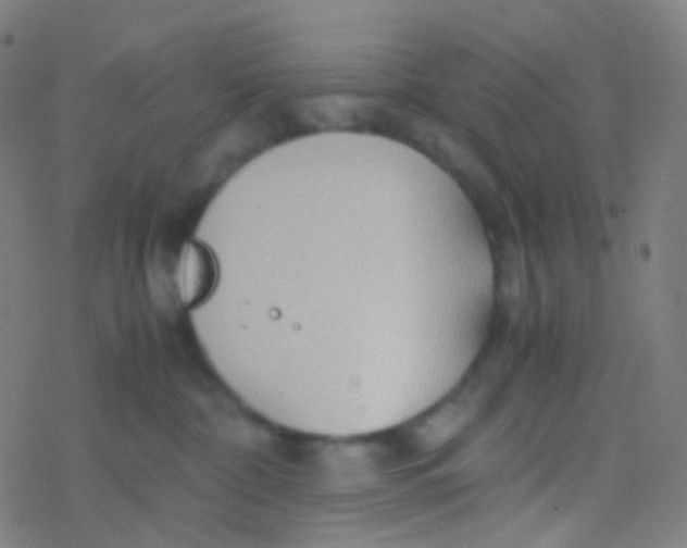 X0000077360332200611101645