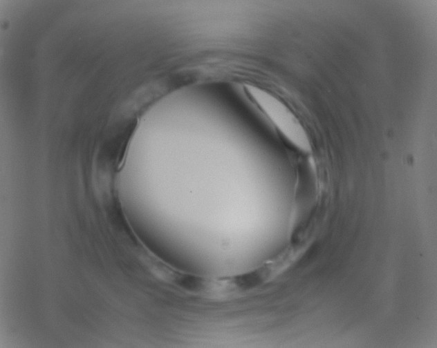 X0000077360333200611101645