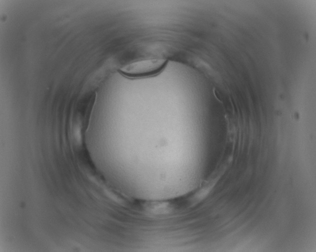 X0000077360334200611101645