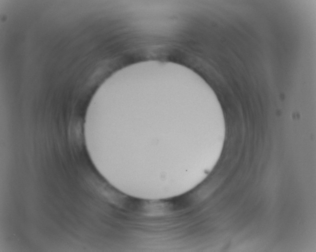 X0000077360336200611101645