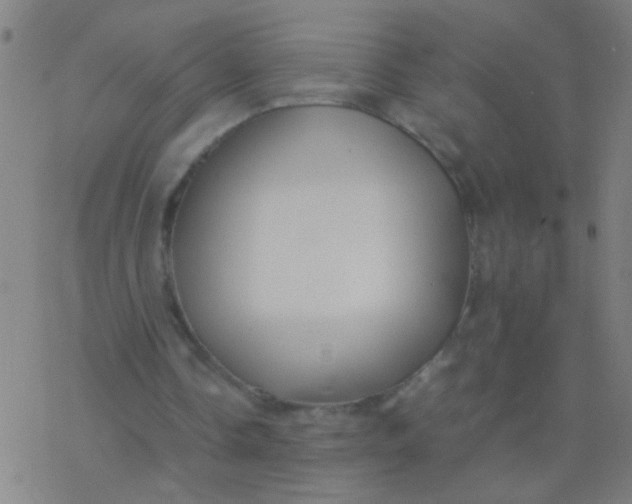 X0000077360338200611101644