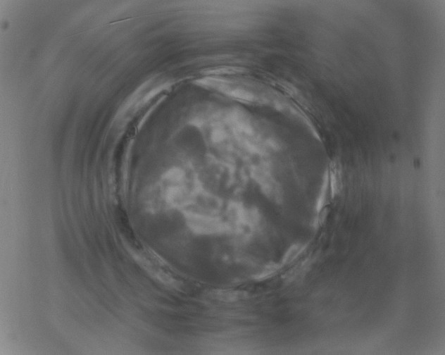 X0000077360339200611101644