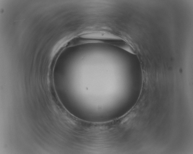 X0000077360340200611101644