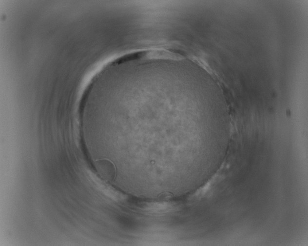 X0000077360342200611101644