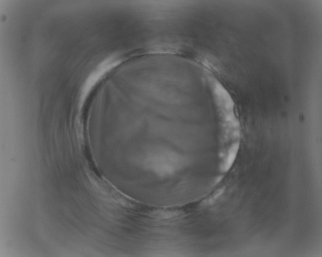 X0000077360343200611101644