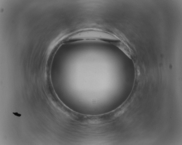 X0000077360344200611101644