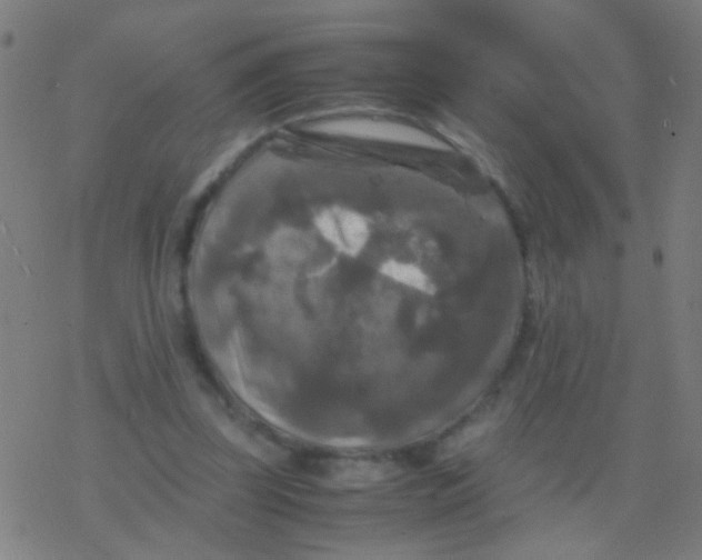 X0000077360347200611101645