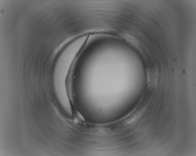 X0000077360348200611101645