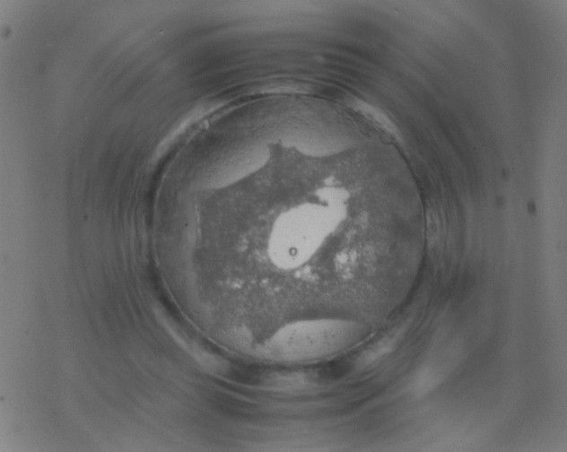 X0000077360349200611101645