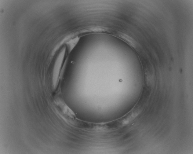 X0000077360350200611101645