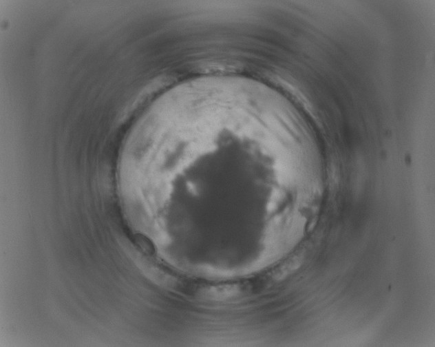 X0000077360353200611101645