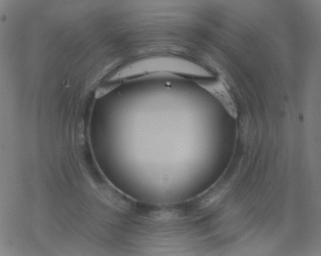 X0000077360356200611101645