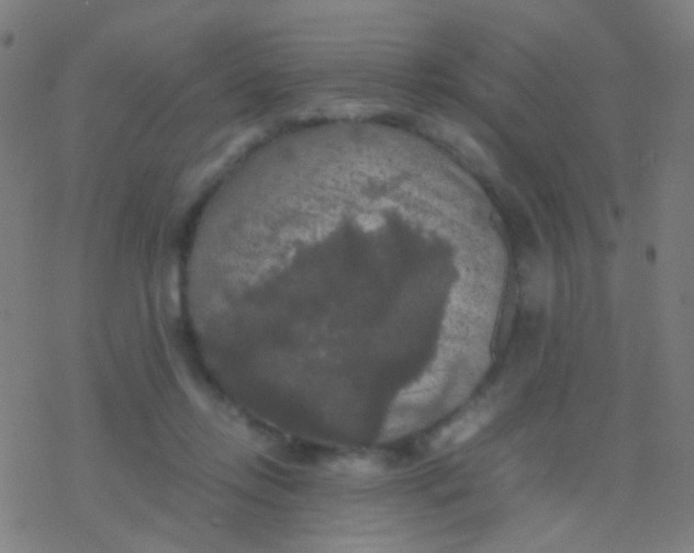 X0000077360358200611101645