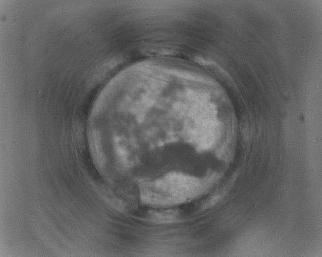 X0000077360359200611101645