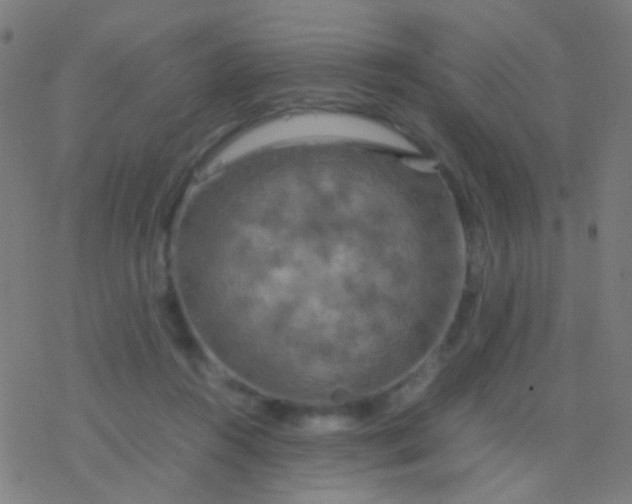 X0000077360360200611101645