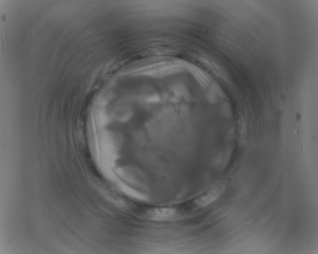 X0000077360361200611101645