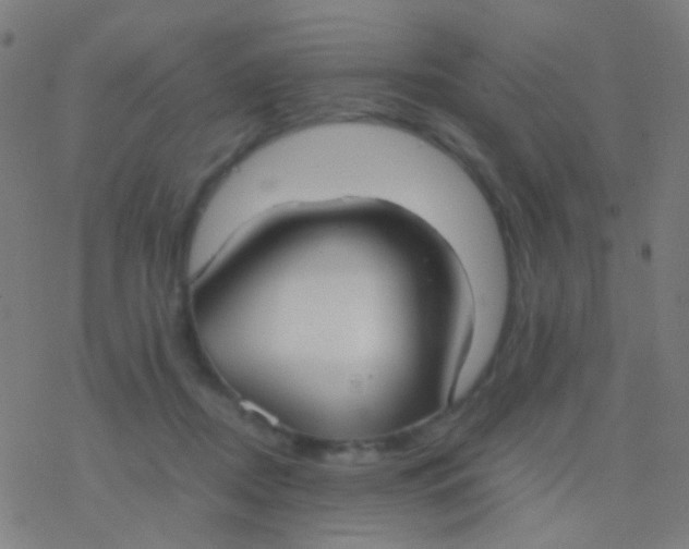 X0000077360362200611101645