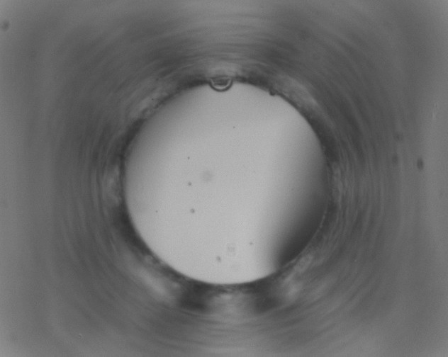 X0000077360364200611101645