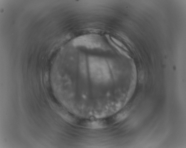 X0000077360365200611101645