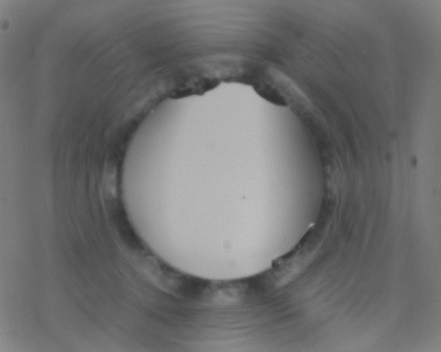 X0000077360368200611101645