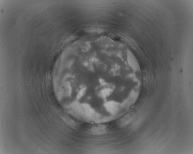 X0000077360369200611101645