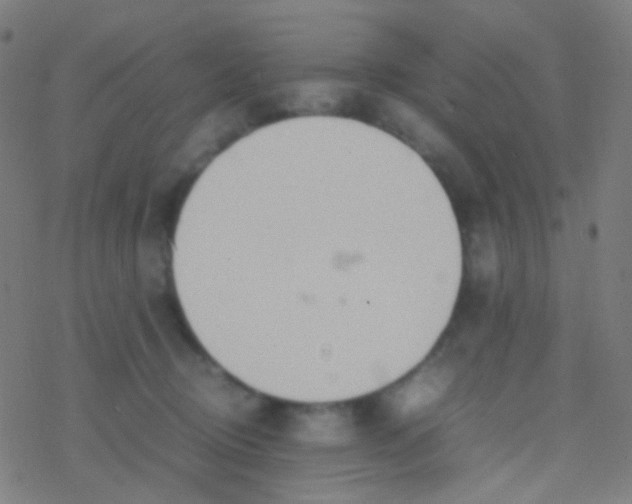 X0000077360370200611101645