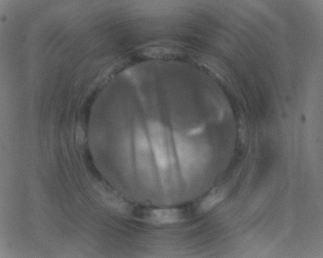 X0000077360371200611101645