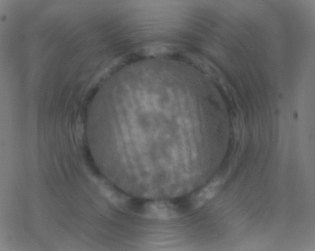 X0000077360372200611101645