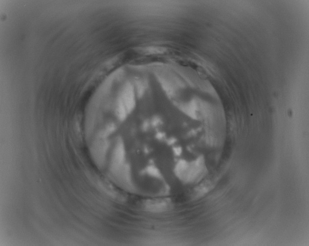 X0000077360373200611101645