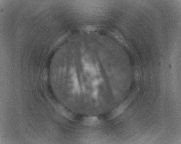 X0000077360374200611101645