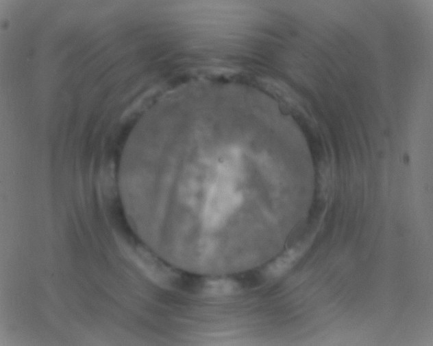 X0000077360376200611101645