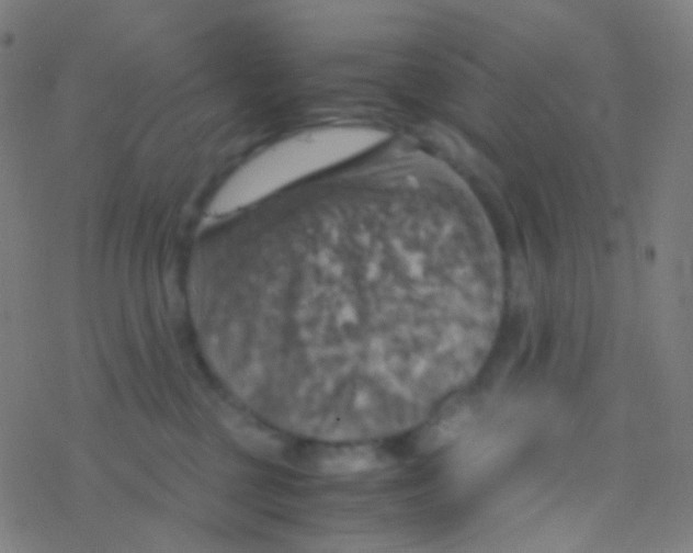 X0000077360377200611101645