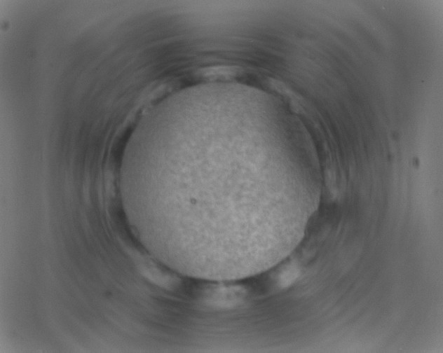 X0000077360379200611101645