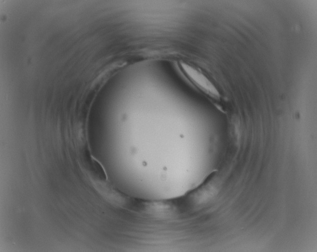 X0000077360380200611101645