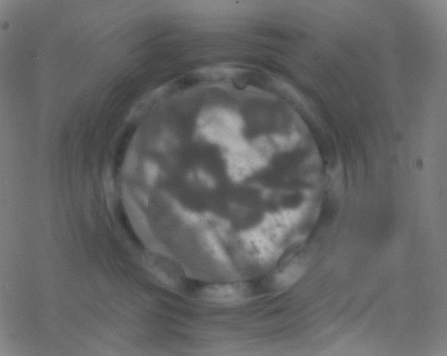 X0000077360381200611101645