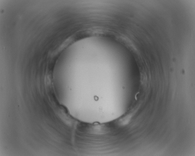 X0000077360382200611101645