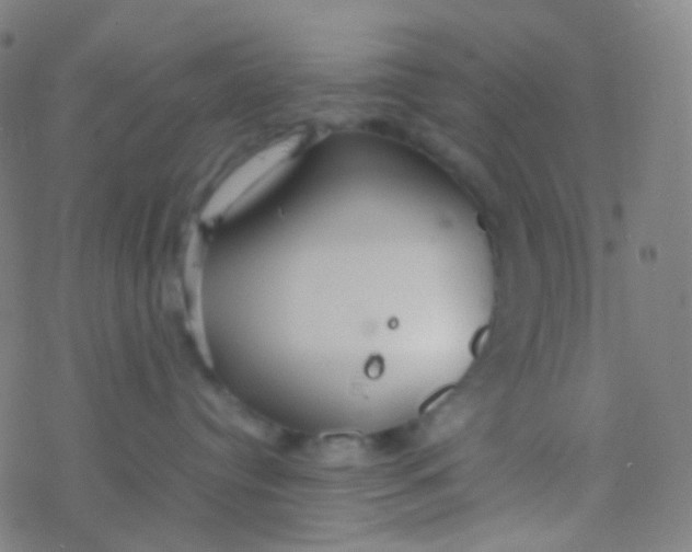 X0000077360384200611101645