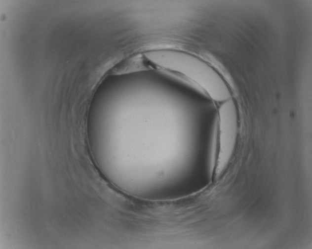 X0000077360385200611101644