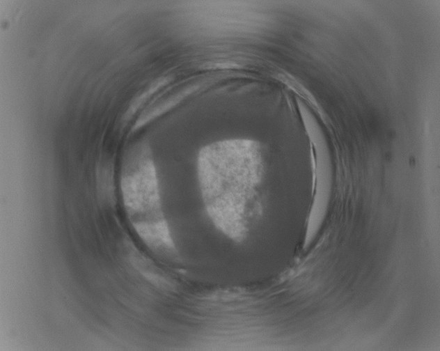 X0000077360386200611101644